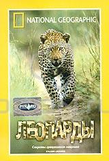 National Geographic. Леопарды