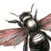 Пчела - Плотник / Xylocopa Valga